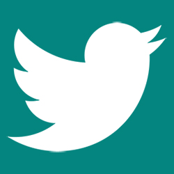 Icona twitter