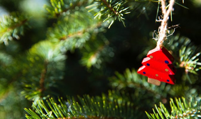 Fotografia del dettaglio di un albero di Natale
