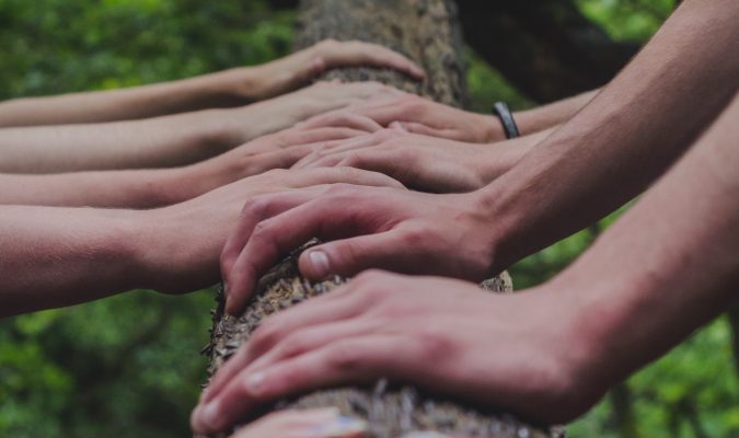 Fotografia di molte mani appoggiare al tronco di un albero