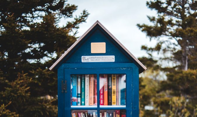 Fotografia di una casetta di legno piena di libri in un prato